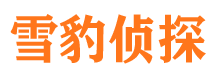 金凤调查取证